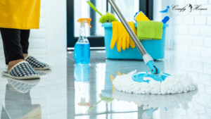 Regular House Cleaning